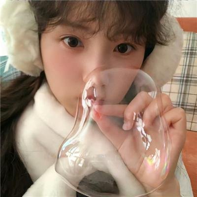 爱情森林